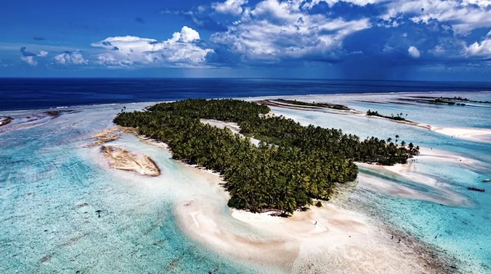 Reef sharks snorkeling at South Pass Fakarava